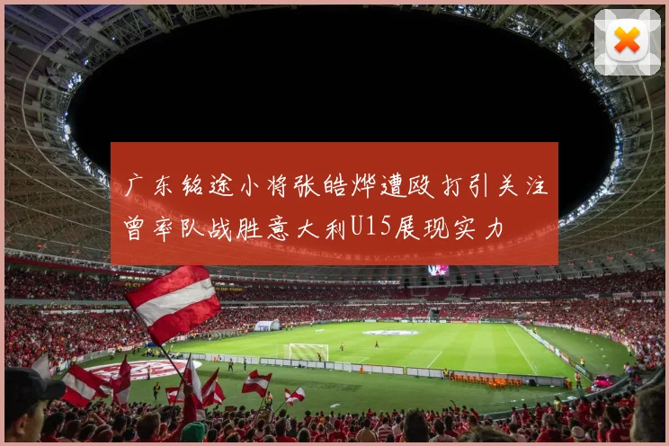 广东铭途小将张皓烨遭殴打引关注曾率队战胜意大利U15展现实力